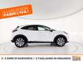 Ford Puma 1.0 ecoboost h titanium x s&s 125cv Alb - thumbnail 6