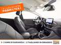 Ford Puma 1.0 ecoboost h titanium x s&s 125cv Alb - thumbnail 7