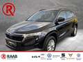 Skoda Karoq Selection 130 Jahre Mehrzonenklima PDC LED Apple C Schwarz - thumbnail 1