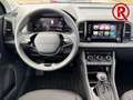 Skoda Karoq Selection 130 Jahre Mehrzonenklima PDC LED Apple C Schwarz - thumbnail 10
