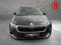 Skoda Karoq Selection 130 Jahre Mehrzonenklima PDC LED Apple C Schwarz - thumbnail 2