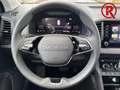 Skoda Karoq Selection 130 Jahre Mehrzonenklima PDC LED Apple C Schwarz - thumbnail 11