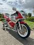 Yamaha TZR 250 3MA 1989 Blanco - thumbnail 8