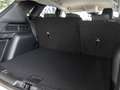Ford Kuga Titanium 1.5 EcoBoost | Winter-Pkt. | AHK | SHA | Bianco - thumbnail 9