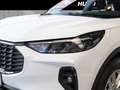Ford Kuga Titanium 1.5 EcoBoost | Winter-Pkt. | AHK | SHA | Bianco - thumbnail 4