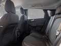 Ford Kuga Titanium 1.5 EcoBoost | Winter-Pkt. | AHK | SHA | Bianco - thumbnail 8
