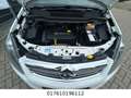 Opel Zafira B Family 7 Sitzer Weiß - thumbnail 18