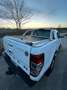 Ford Ranger 2.2 tdci double cab Limited auto Blanc - thumbnail 7