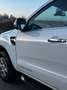 Ford Ranger 2.2 tdci double cab Limited auto Biały - thumbnail 9