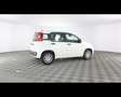 Fiat Panda 1.0 FireFly Hybrid Bianco - thumbnail 7