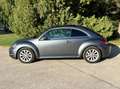 Volkswagen Beetle Beetle 2,0 TDI BMT Comfortline DSG Comfortline Grau - thumbnail 18