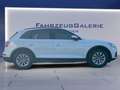 Audi Q5 35 TDI quattro Luftfahrwerk Achtfach bereift Білий - thumbnail 6