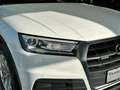 Audi Q5 35 TDI quattro Luftfahrwerk Achtfach bereift Білий - thumbnail 18