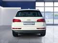 Audi Q5 35 TDI quattro Luftfahrwerk Achtfach bereift Білий - thumbnail 4