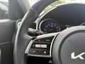 Kia Ceed / cee'd Ceed 1.5 T-GDI Vision BI-LED*CAM*PDC*SHZ*KLIMAAUT Silber - thumbnail 16