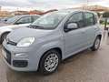 Fiat Panda Panda 1.0 HYBRID 70 C.V.GARANZIA CERTIF.CONFORMITA - thumbnail 3