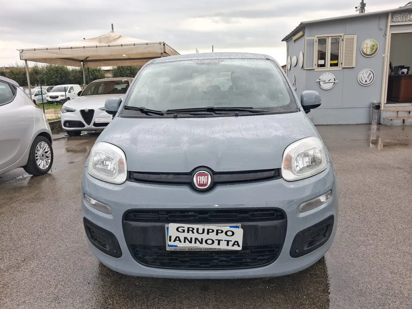 Fiat Panda Panda 1.0 HYBRID 70 C.V.GARANZIA CERTIF.CONFORMITA - 1