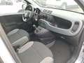Fiat Panda Panda 1.0 HYBRID 70 C.V.GARANZIA CERTIF.CONFORMITA - thumbnail 7