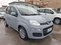Fiat Panda Panda 1.0 HYBRID 70 C.V.GARANZIA CERTIF.CONFORMITA - thumbnail 2