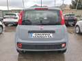 Fiat Panda Panda 1.0 HYBRID 70 C.V.GARANZIA CERTIF.CONFORMITA - thumbnail 6