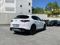 Alfa Romeo Stelvio My19 2.2 TDI Business RWD 160CV Bianco - thumbnail 7