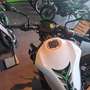 Kawasaki Z 900 Alb - thumbnail 2