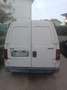 Fiat Scudo - thumbnail 5
