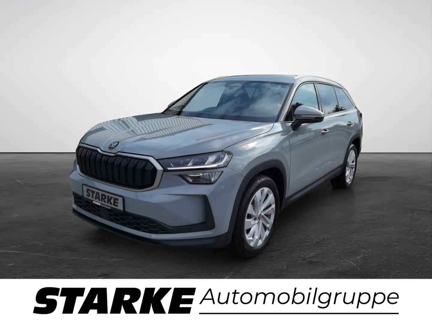 Skoda Kodiaq 2.0 TDI DSG 4x4 Selection 7-Sitzer Серый - 2