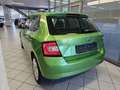 Skoda Fabia Ambition PDC,SItzheizung,Alufelgen,GRA Grün - thumbnail 5