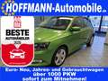 Skoda Fabia Ambition PDC,SItzheizung,Alufelgen,GRA Grün - thumbnail 1