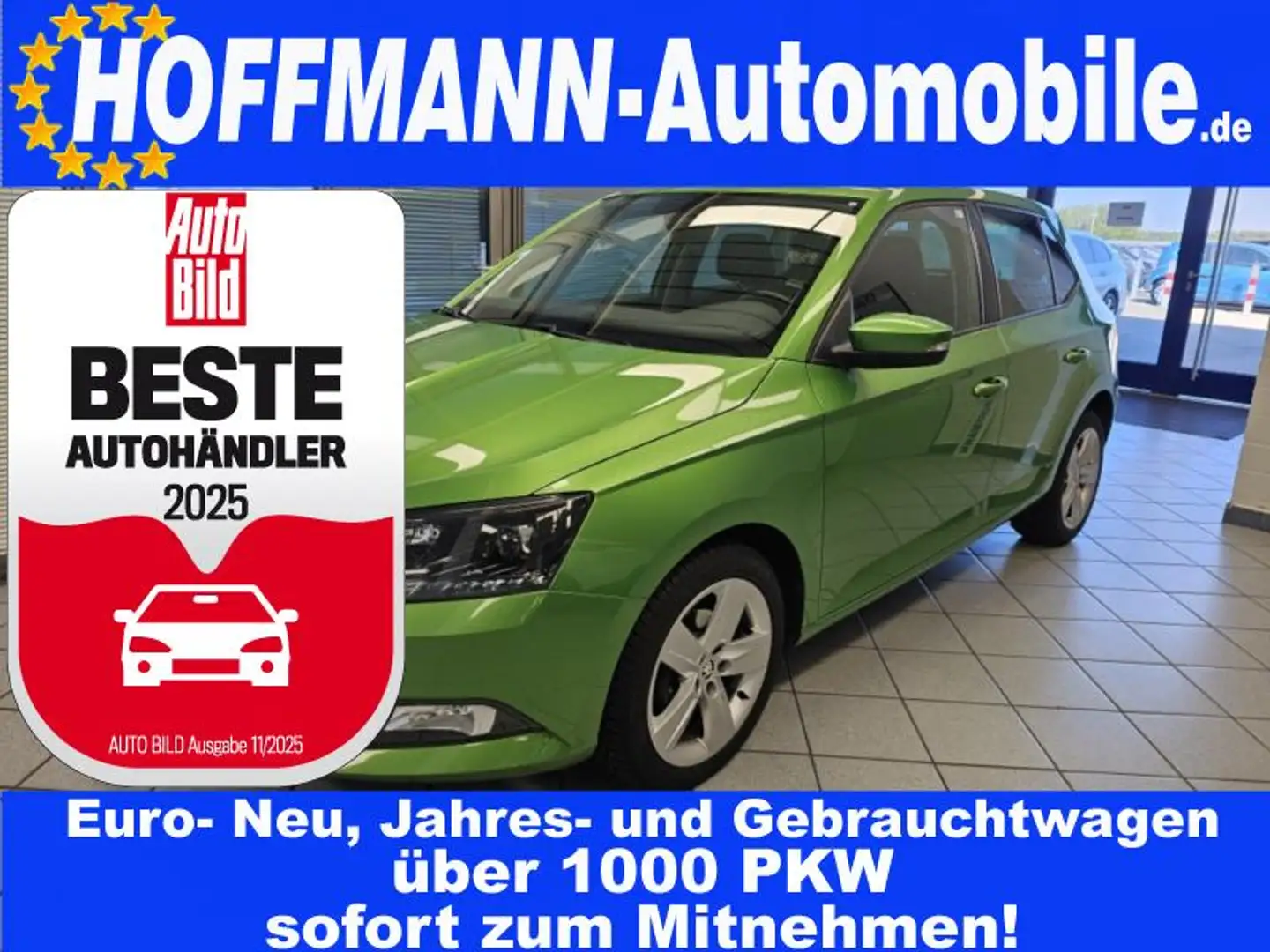 Skoda Fabia Ambition PDC,SItzheizung,Alufelgen,GRA Grün - 1