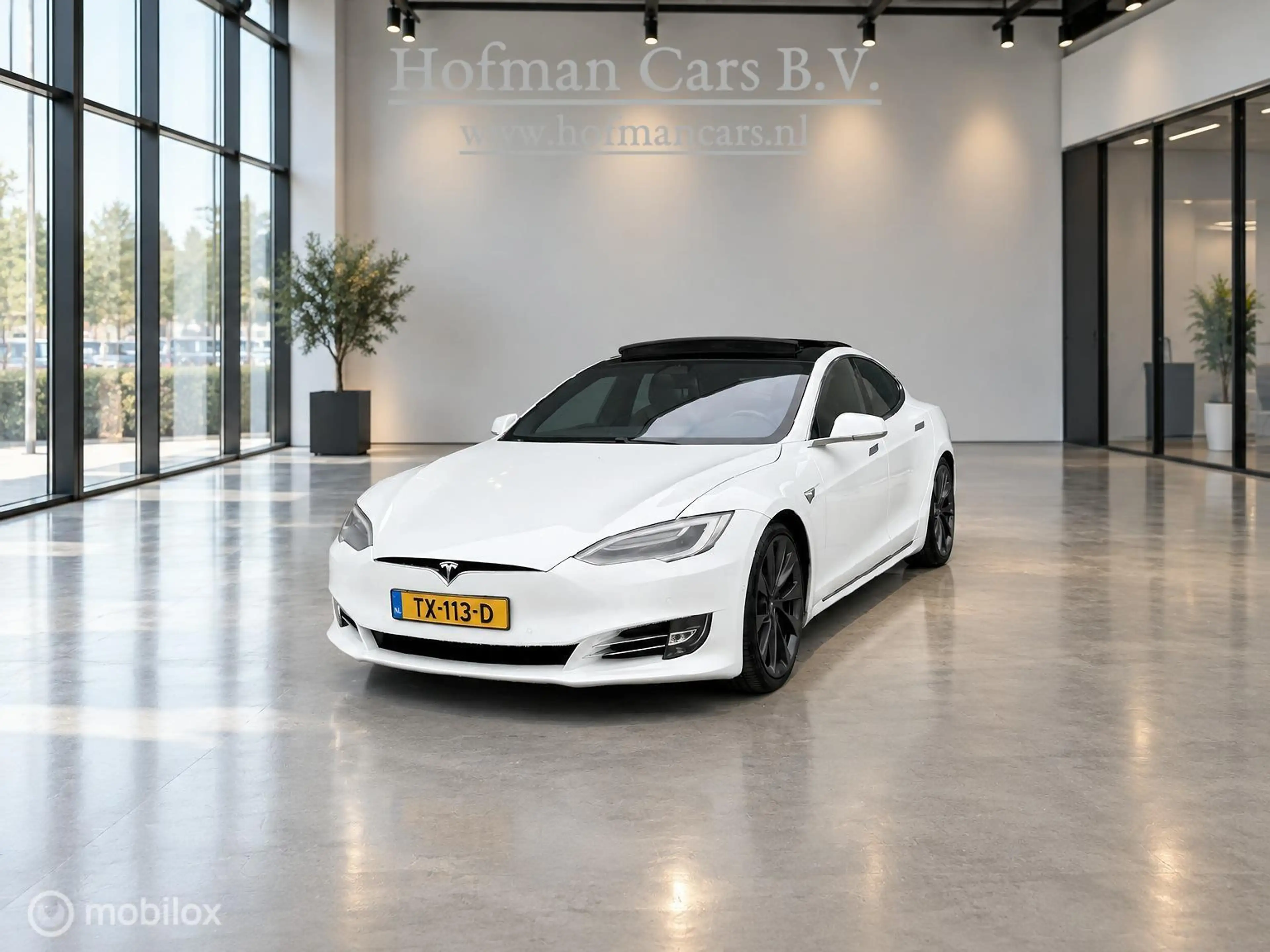 Tesla Model S 100D | 100 kWh | 418 PK | SOH 88% | MCU2 | CCS | E