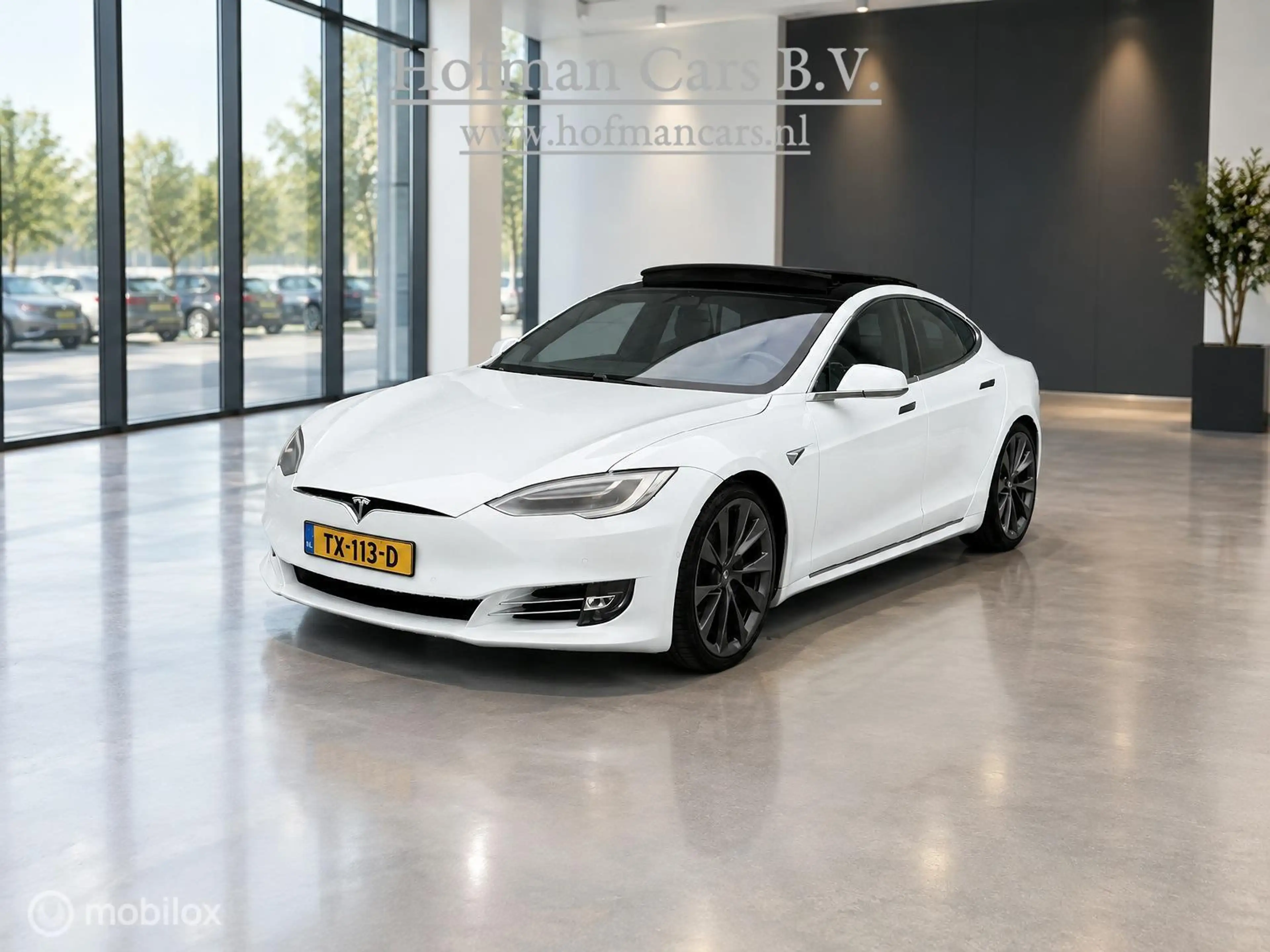 Tesla Model S 100D | 100 kWh | 418 PK | SOH 88% | MCU2 | CCS | E — photo 2