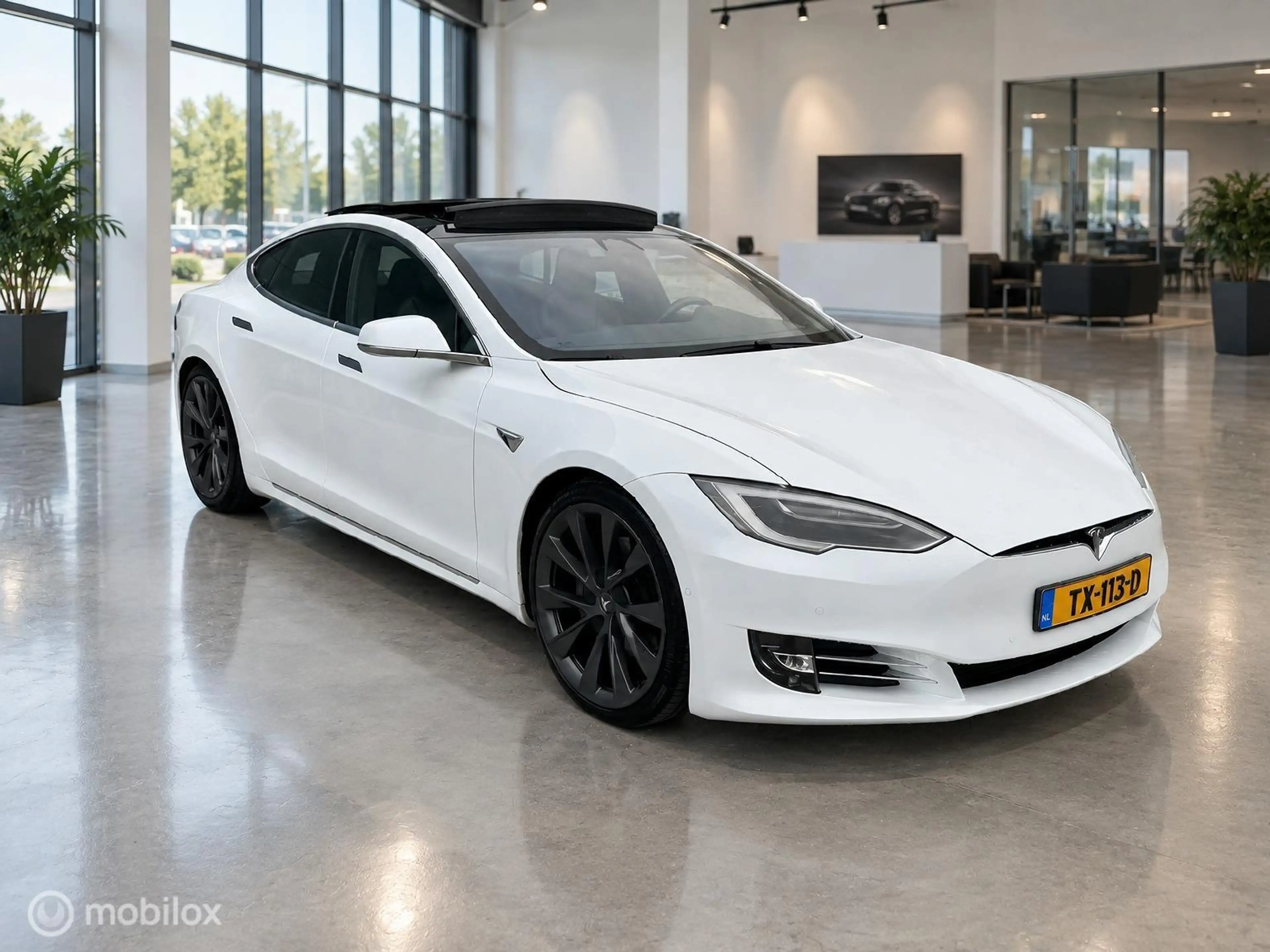 Tesla Model S 100D | 100 kWh | 418 PK | SOH 88% | MCU2 | CCS | E — photo 10