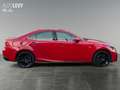 Lexus IS 200 300 F-Sport *ACC*KAMERA*KLIMA*FACELIFT* Piros - thumbnail 7