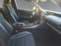 Lexus IS 300 F-Sport *ACC*KAMERA*KLIMA*FACELIFT* Rojo - thumbnail 16