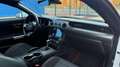 Ford Mustang Convertible 2.3 EcoBoost 214kW Blanco - thumbnail 8