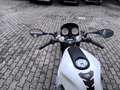 Moto Guzzi V 11 sport nacked - thumbnail 2