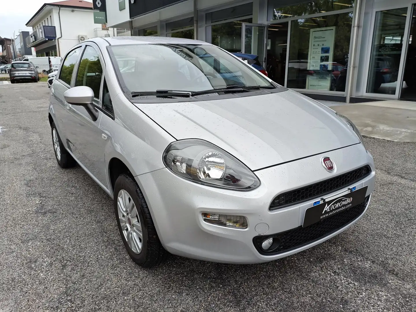 Fiat Punto Punto 1.4 8V 5 porte Natural Power Lounge - 2