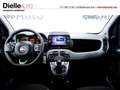 Fiat Panda 1.0 FireFly S&S Hybrid City Life Bleu - thumbnail 19