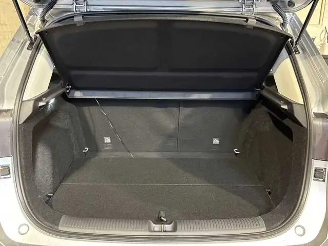 MG ZS view 7