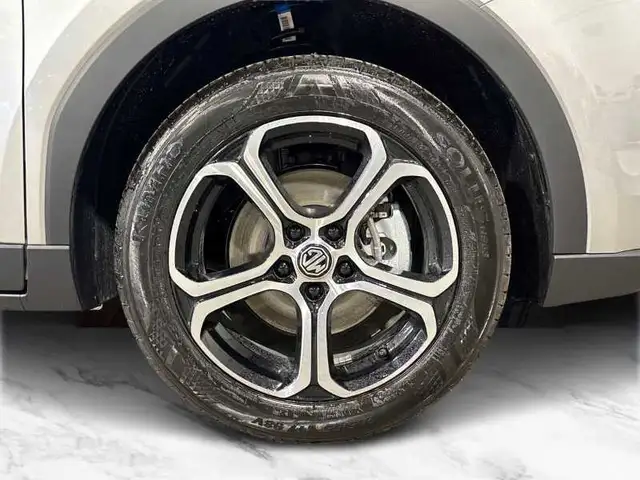 MG ZS view 8