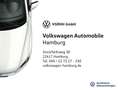 Volkswagen Passat Variant 2.0 TDI Business 4Motion DSG Navi Grau - thumbnail 18