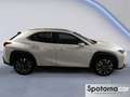 Lexus UX 250h UX Hybrid Executive Blanc - thumbnail 6