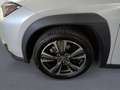Lexus UX 250h UX Hybrid Executive Blanc - thumbnail 10