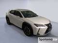 Lexus UX 250h UX Hybrid Executive Blanc - thumbnail 7
