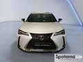 Lexus UX 250h UX Hybrid Executive Blanc - thumbnail 8