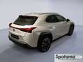 Lexus UX 250h UX Hybrid Executive Blanc - thumbnail 5
