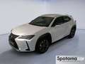 Lexus UX 250h UX Hybrid Executive Blanc - thumbnail 1