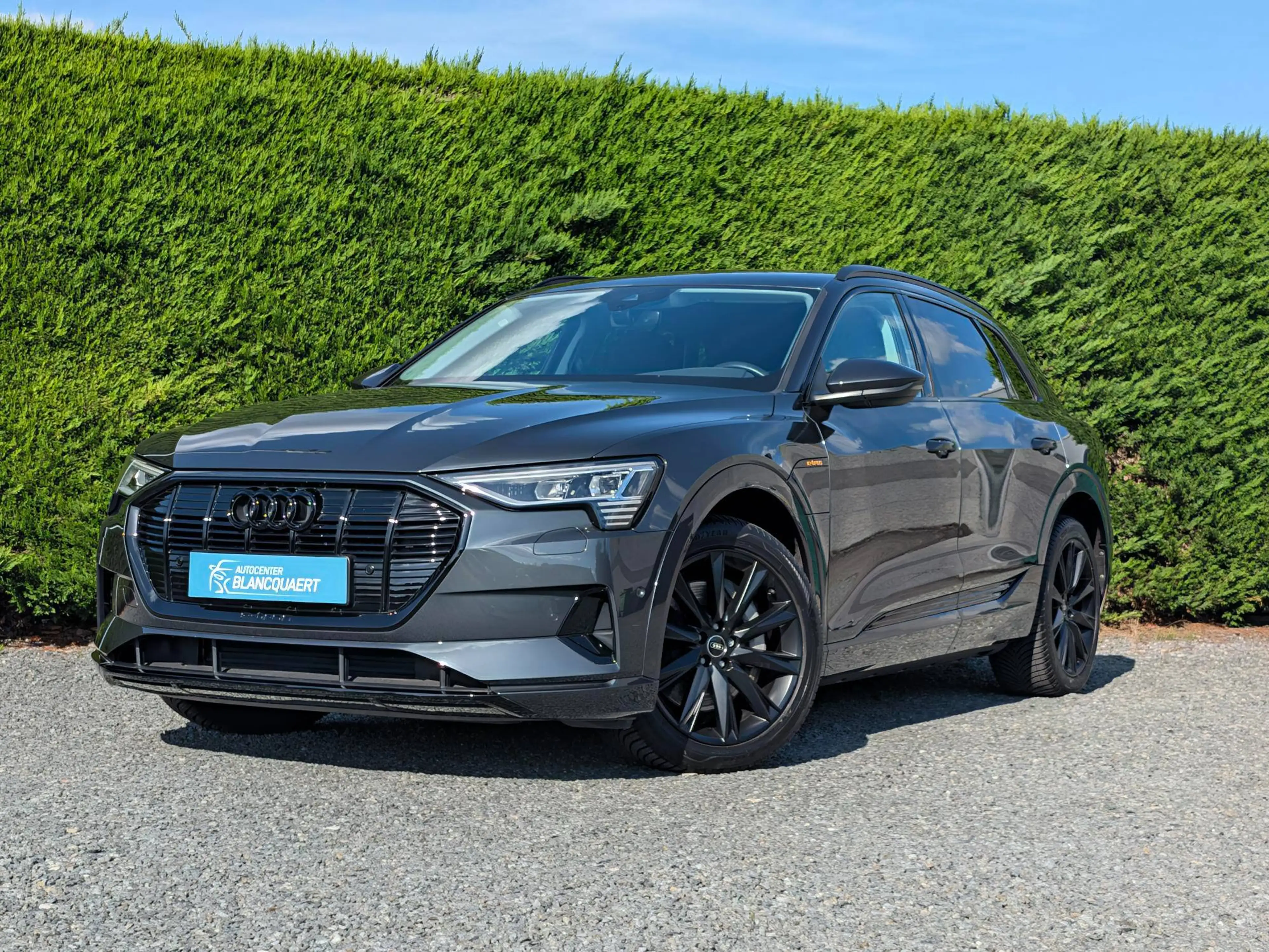 Audi Q8 e-tron (Q8) Trekhaak - camera - quattro - luchtvering